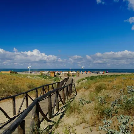 Mare Sorriso 350mt From Sea - Happy Apartment